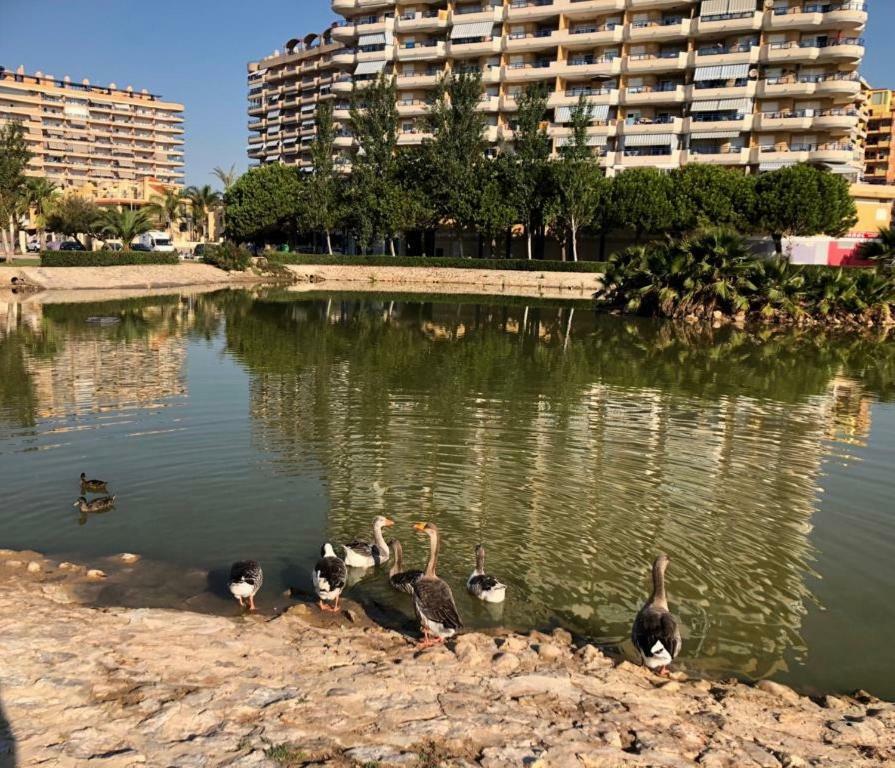 Retiro Playa Y Spa タベルネス・デ・ラ・バルディグナ エクステリア 写真